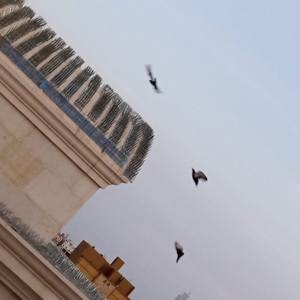 فني يركب شبك طارد للحمام على سور منزل في الدمام